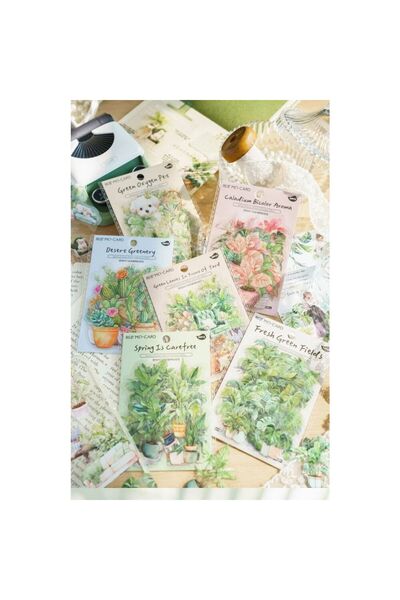 İthal E3-30 bucăți autocolant PET cu plante - Număr: 2