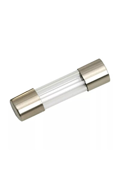 OEM Fast fuse 5x20mm 2A Nexus