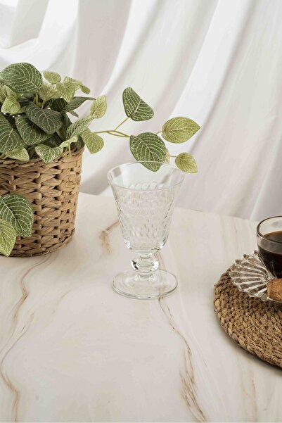 crystalhome Set of 6 Coffee Side Water Glasses