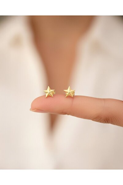 İNDİGO TAKI Minik Sade Yıldız 14 Ayar Altın Küpe