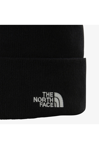 THE NORTH FACE Норм Юнісекс Лациверт Бере