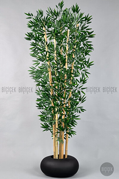 BİÇİÇEK Zen Bambu Ağacı 220-240 CM Fiber Saksıda