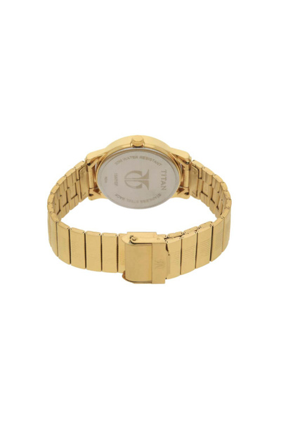 Titan Men's Analog Silver Dial Watch - 1580YM04