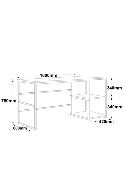 L'occi Concept Liberty 160cm Metal Bilgisayar Laptop Çalışma Masası Raflı Lb28-a Çam