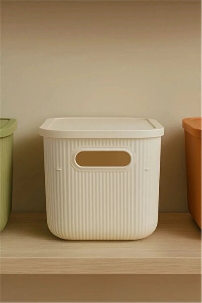 Bayev Colors Cream 6 Liter Multi-Purpose Organizer Box with Lid Jewelry Makeup Bathroom Kitchen Organizer