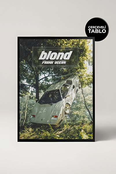 House Gorgeous Frank Ocean No:2 Pop Culture Music Painting cu cadru