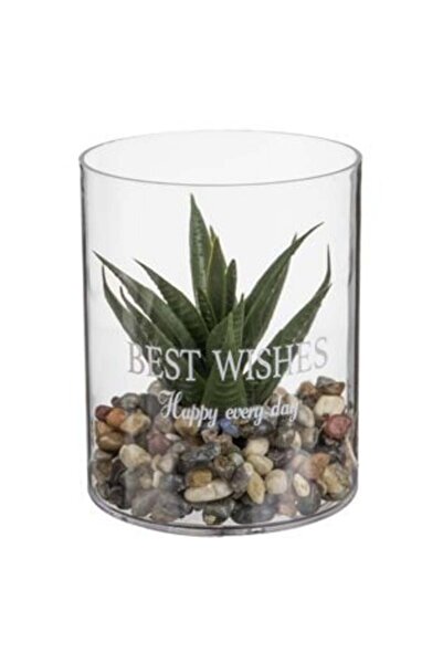 OEMN Vază transparentă din plastic cu plantă verde Ø8 x 10 cm