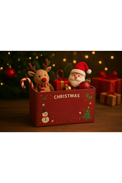 OEM Mystery Box Christmas Edition, 3-5 mixed products