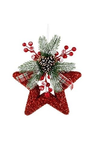 OEMN Christmas Decoration Red Foam Star with Tinsel, Branch & Berries 22 x 26 cm