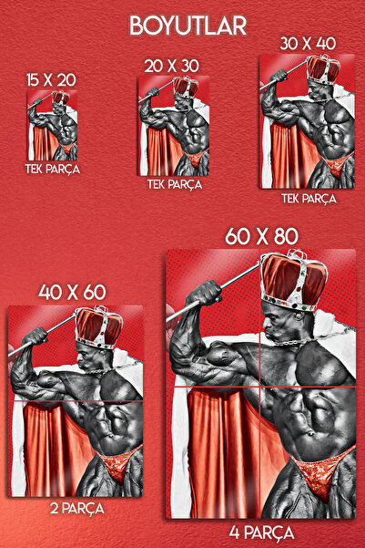 DekorHane Metal Baskı - Ronnie Coleman, Fitness Motivasyon, Gym Dekor, Vücut Geliştirme, Light Weight Baby