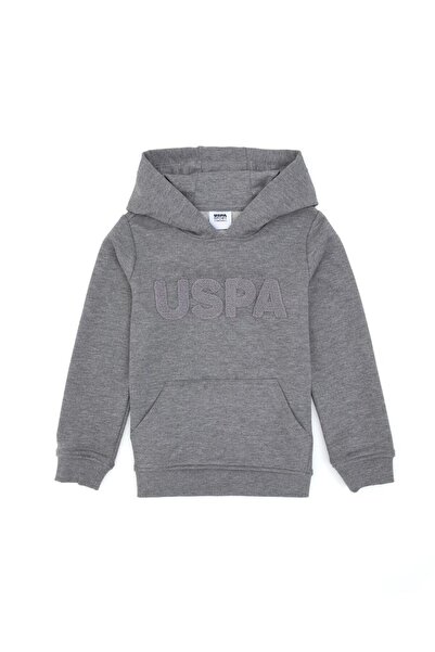 U.S. Polo Assn. Men's Basic Hooded Sweatshirt Tekspor222590.0