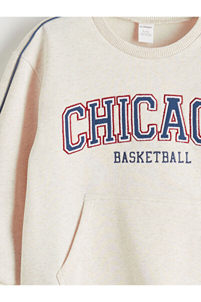 LC Waikiki Sparkling Selections from Shining Store |   Crew Neck Boy's Sweatshirt