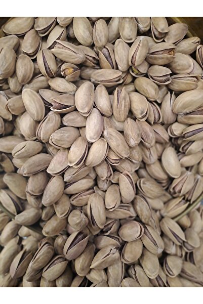 bagisan Antep fıstığı lüks ana çatlak kavrulmuş kabuklu 500 gr