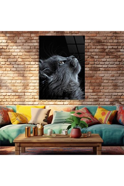 seninürünün Tablou din sticlă cu tematică artistică cu imprimare pe sticlă reală S042