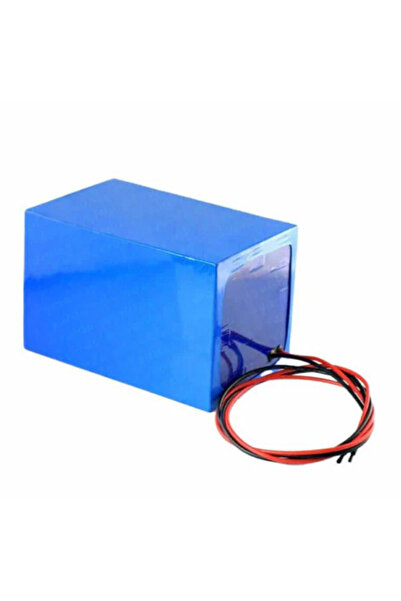 agex enerji CASTELLARI Tornado Carbon L V3 Zeytin Silkeleme makinası Lifepo4 Akü 12 Volt 42 Ah