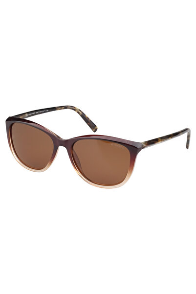 GIORGIO VALENTI Premium Acetate Sunglasses 1624 C19