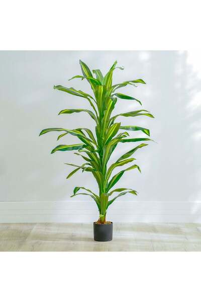 Danube Home 150 CM Dracaena Artificial Plant in Green - Realistic Faux Plant with Plastic Pot for Home Decor