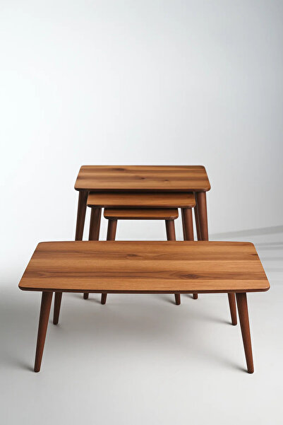 AYGE İstanbul Orta Sehpa ve 3'lü Zigon Sehpa Seti