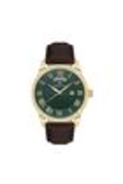 Daniel Klein Premium DK.1.13819.4 Watch