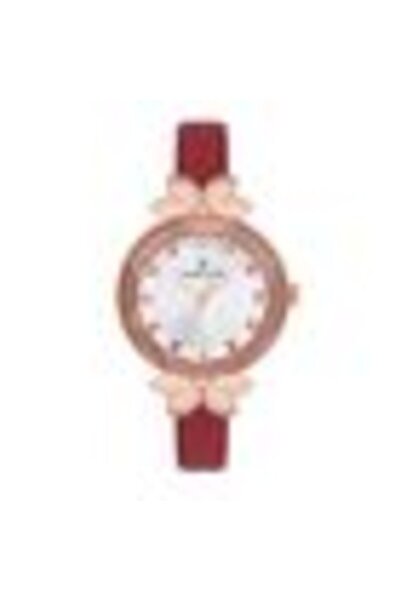 Daniel Klein Ceas de mână Trendy DK.1.12553.4