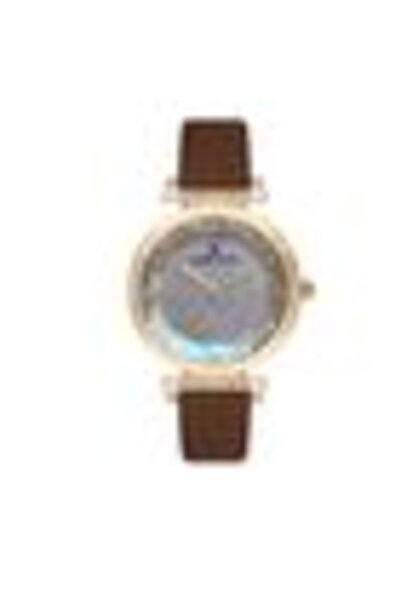 Daniel Klein Premium DK.1.12691.2 Watch