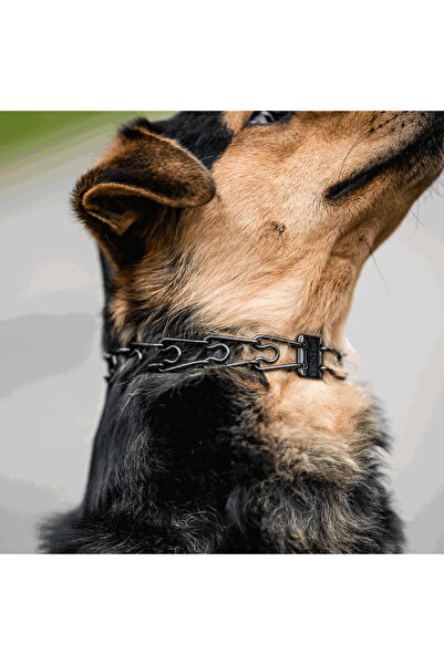 Sprenger Zgarda Dresaj Inox Negru 3.2mm/58cm Sistem ClickLock