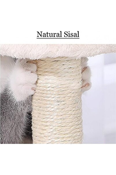 Golden cat , Cats Scratching Post Tower, Cat Tree (Color white)