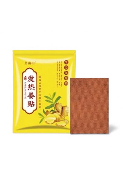 Ginger FAREJIANGTIE Pain relief patches