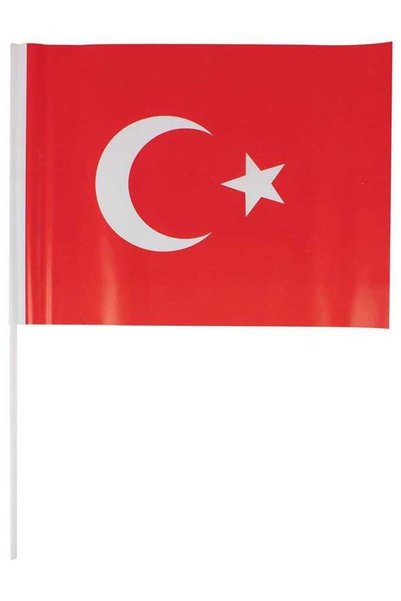 Vatan Plastik Sopalı Türk Bayrağı Battal Boy 20x30 Cm. 40 Lı Paket