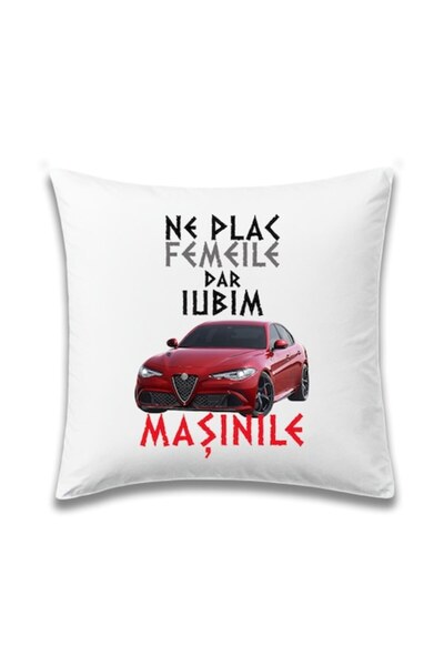 OEM Custom pillow for enthusiasts with message: 'We like women but we love ca...