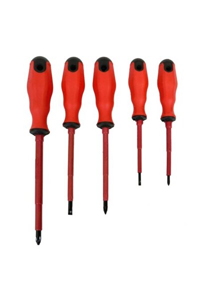 ANTBRO Set 5 Magnetic Screwdrivers Antbro®, with rubber handle, different sizes, red