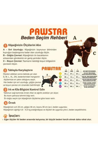 Pawstar Yeşil Avocado Avokado Nakışlı Esnek Kedi Köpek Sweat- Kedi Köpek Kıyafeti