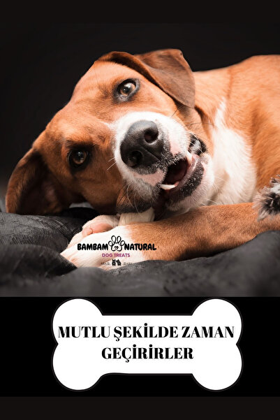 Bambam Natural %100 Doğal Kurutulmuş Tavuk Ayağı 100Gr -Köpek Çiğneme Ve Ödül Maması
