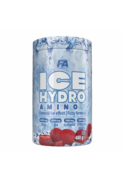 Fa Nutrition FA ICE Amino EAA GLUTAMİN BCAA COMPLEX 480 g