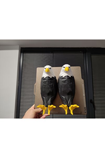 Nibgat Kartal Gece Lambası - Çok Renkli