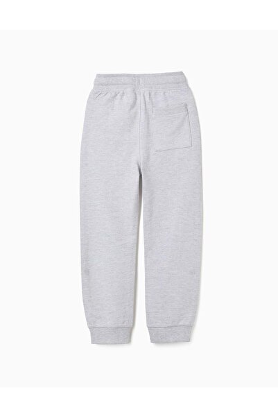 Ziddy Joggers with Sealed Pockets for Boys 'Slim', Grey