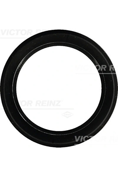 VICTOR REINZ Simering Arbore Cotit Ford Transit V363 Bus/Transit V363 Caroser...