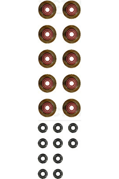 VICTOR REINZ Set Garnituri Ax Supape Audi A3/Q3/Tt Cupra Formentor