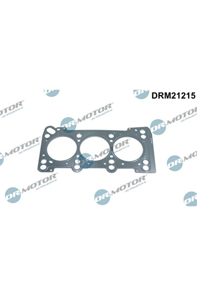 DR.MOTOR AUTOMOTIVE Garnitura Chiulasa Audi A4 B5/A4 B6/A4 B7 Skoda Superb 1