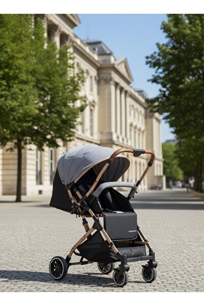 Fun Moment Lightweight and foldable two-way stroller for airplane travel