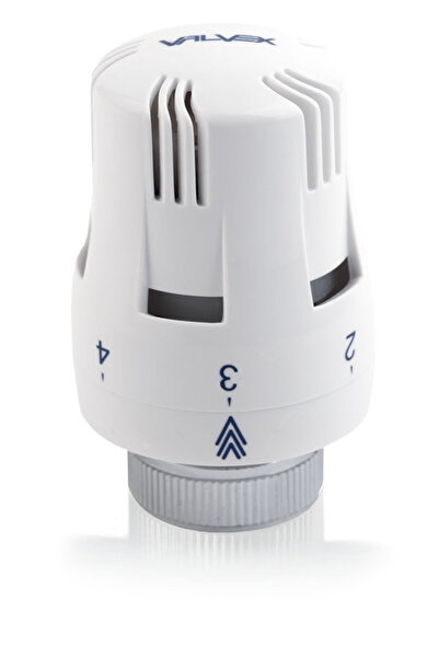 Other Cap termostatic THERMO GZ08A M30x15 100C