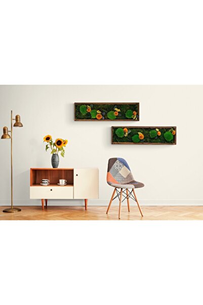 Narium Stabilized Lichen Picture 50×50 cm