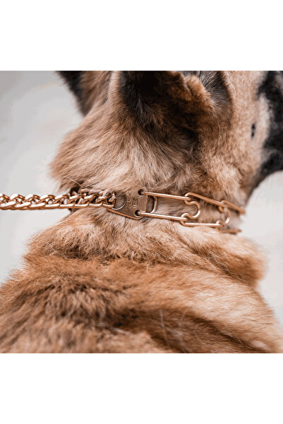 Sprenger Zgarda Dresaj Curogan 64cm 4mm