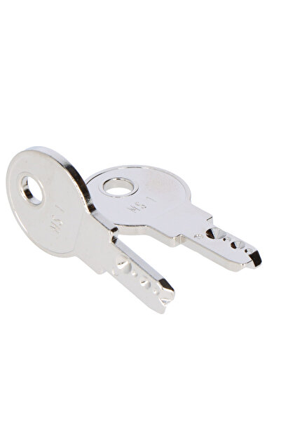 Other Cheie de rezervă M22ESMS1