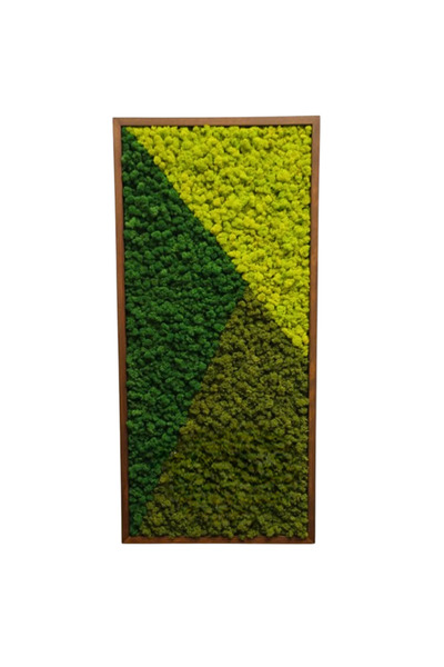 Narium Tablou cu licheni stabilizati 100×50 cm