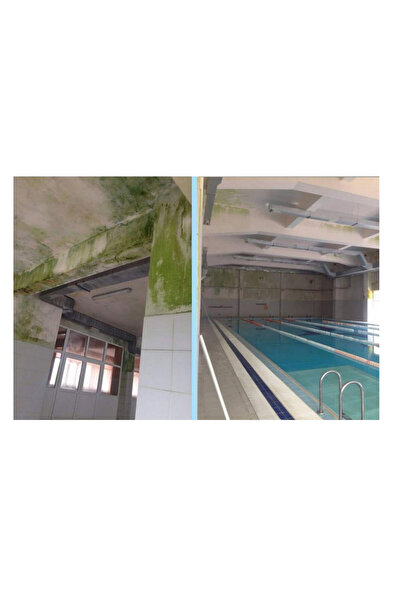 Isonem MS82 Rutubet ve Nem Boyası 5 Kg