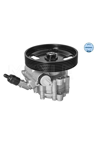 MEYLE Pompa Hidraulica Sistem De Directie Peugeot 407