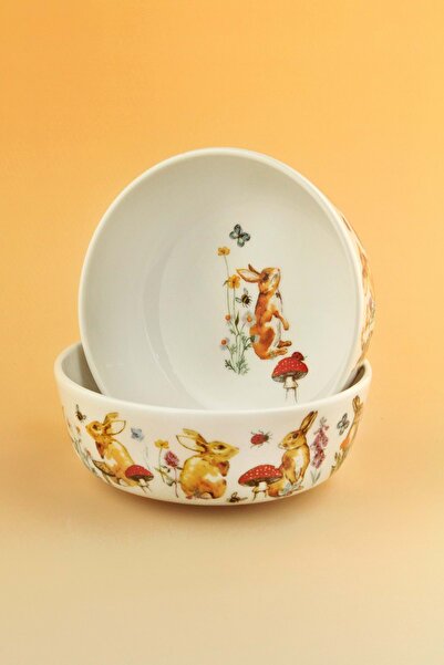 Bursa Porselen Dekor Rabbit Two Porcelain Bowls