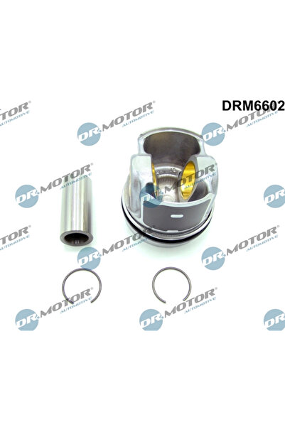 DR.MOTOR AUTOMOTIVE Motor Excluzand Accesoriile Ford Tourneo Custom V362 Bus/...