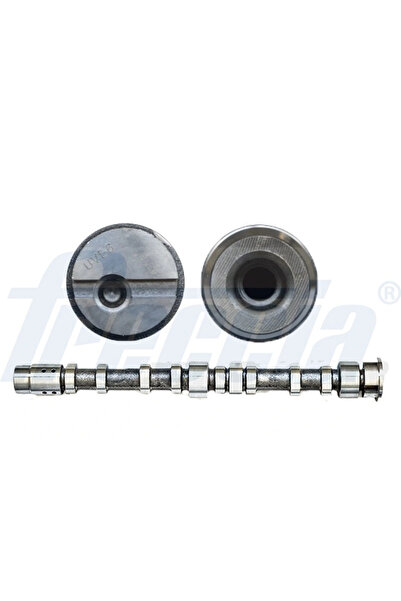 freccia Ax Cu Came Ford C-Max/Fiesta 4/Fiesta Autoutilitara/Limuzina Spatioasa